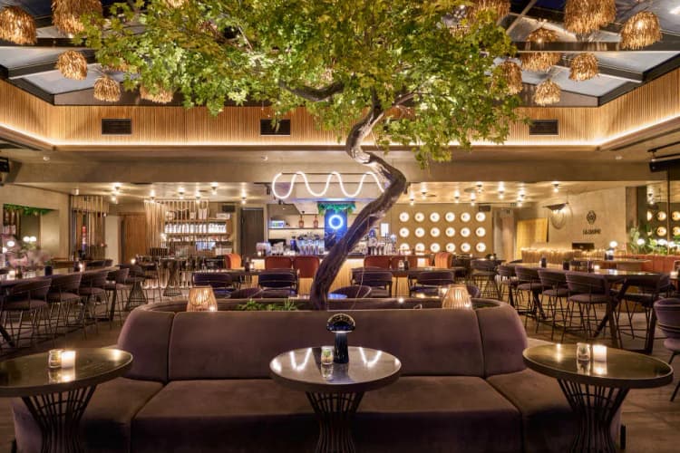 Rooftop Bar Restaurant στην Κηφισιά